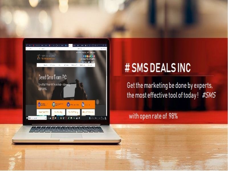 What Everybody Ought to Know About the Bulk SMS